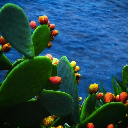 Li Cuti House - Lungomare Self Check-in