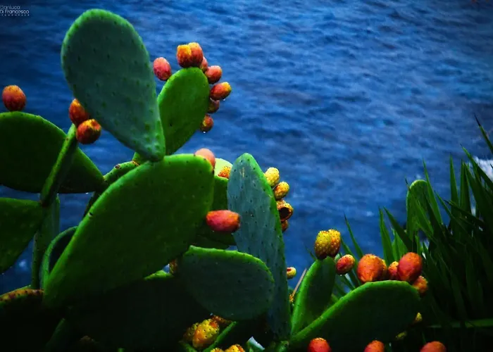 Li Cuti House - Lungomare Self Check-in